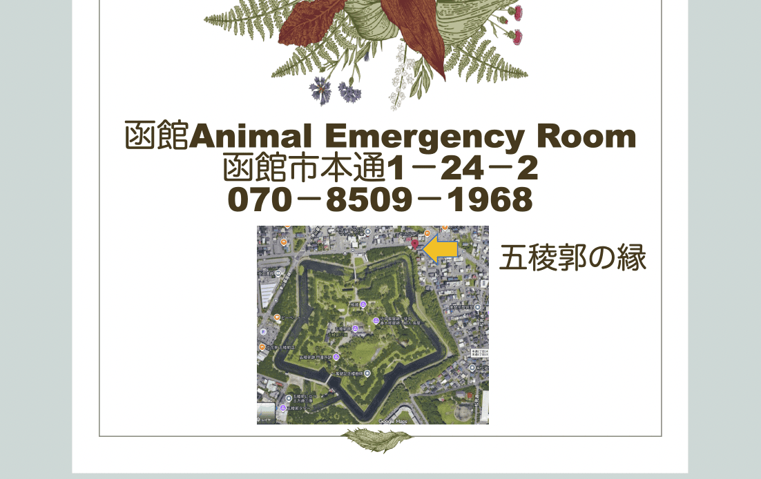 函館市本通1-24-2 五稜郭の縁