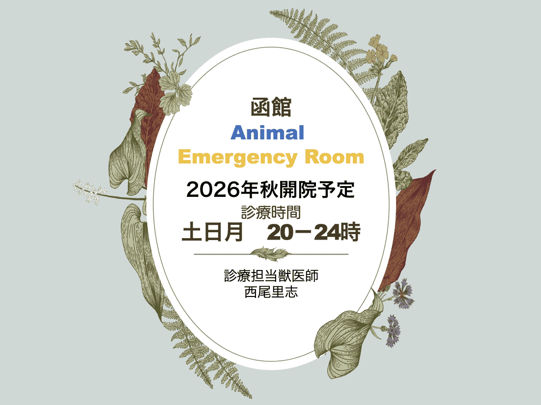 2026年2月開設予定