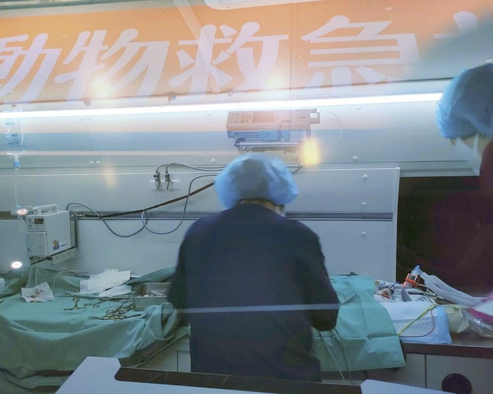 動物救急車救急処置風景