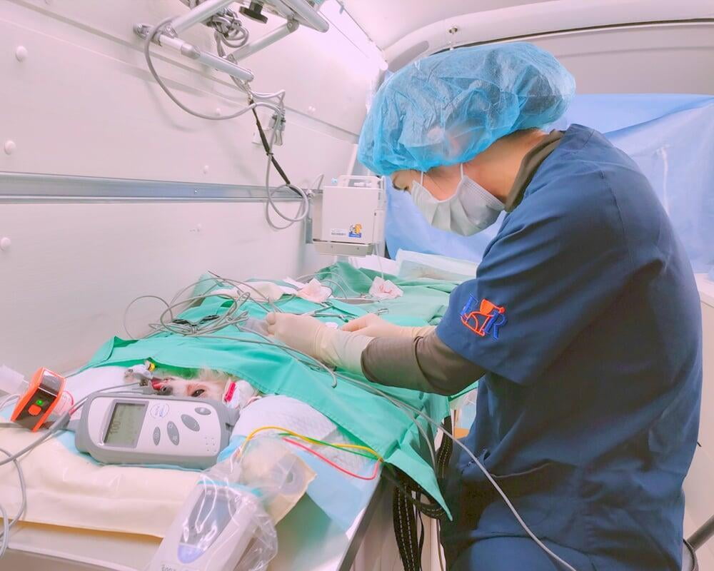 動物救急車車内処置風景２